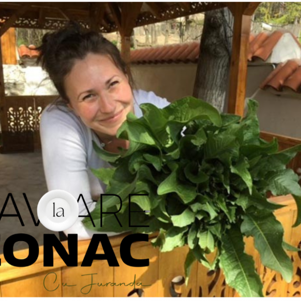 Savoare la Conac Juranda